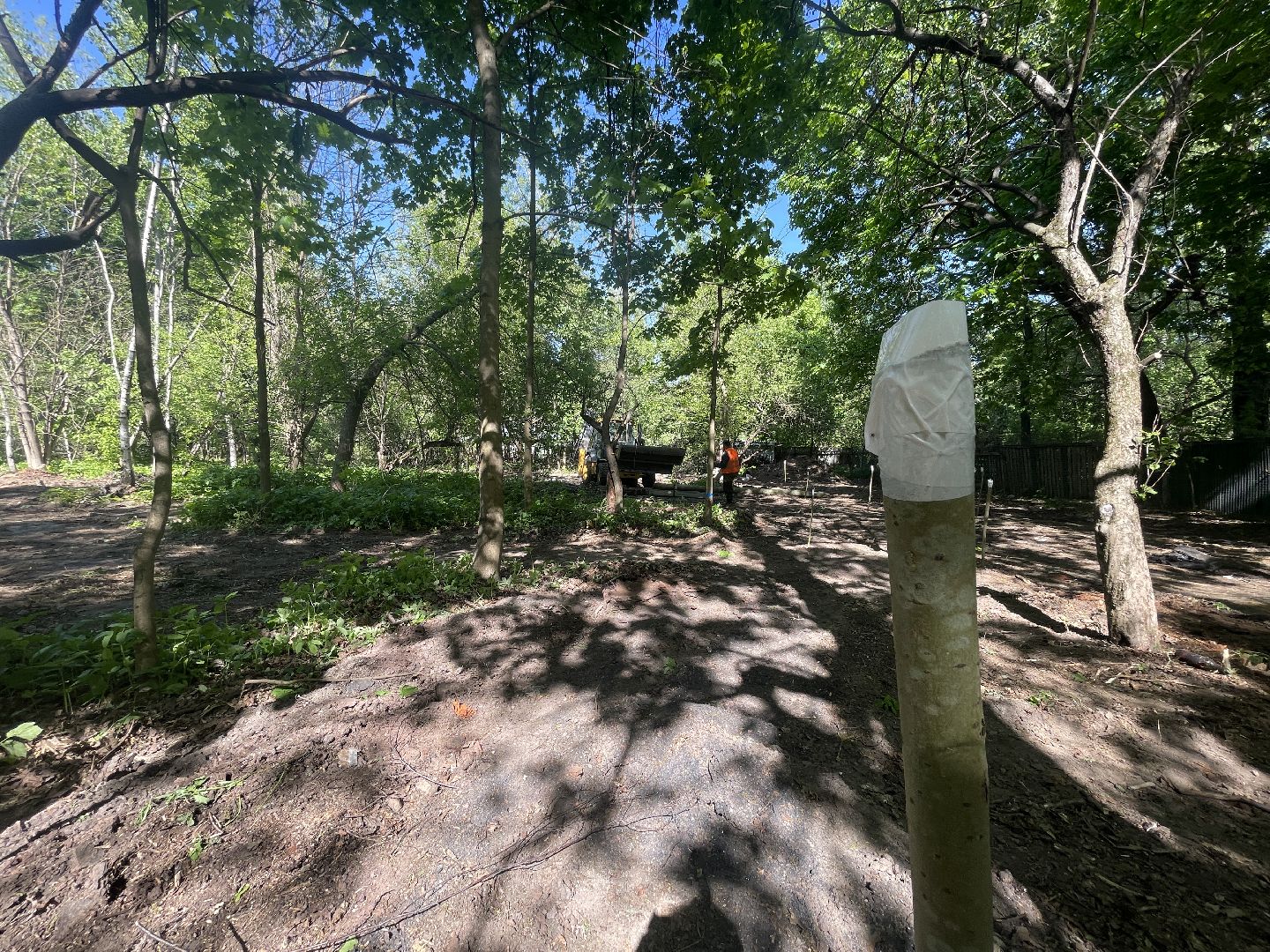 Благоустройство, Одинцово, строительство, бульвар,