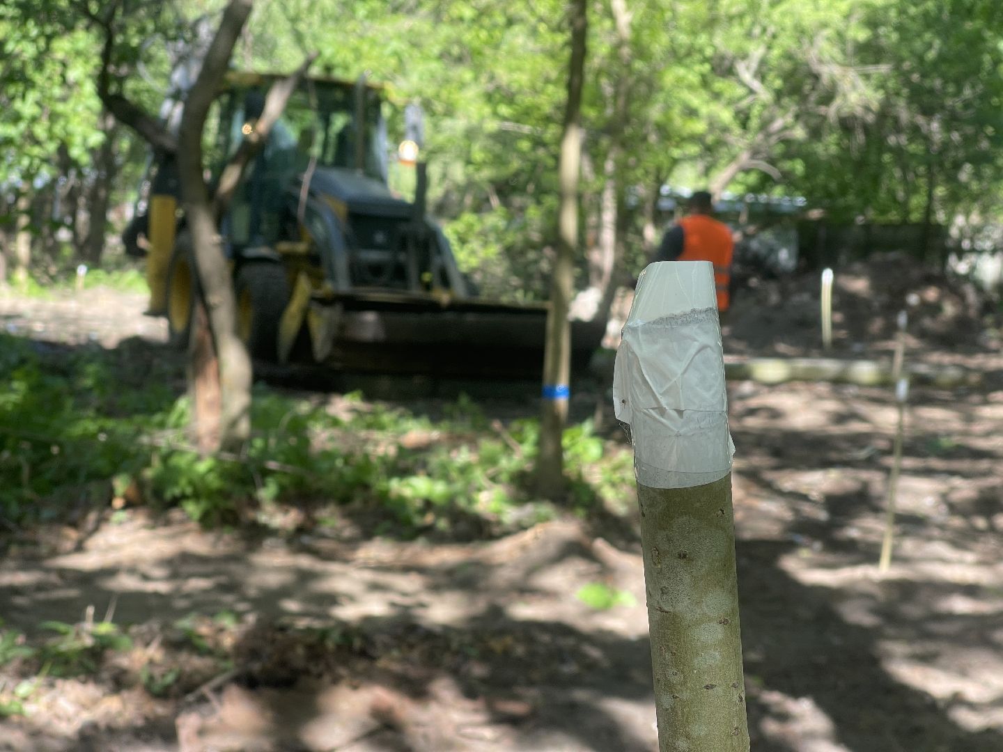 Благоустройство, Одинцово, строительство, бульвар,