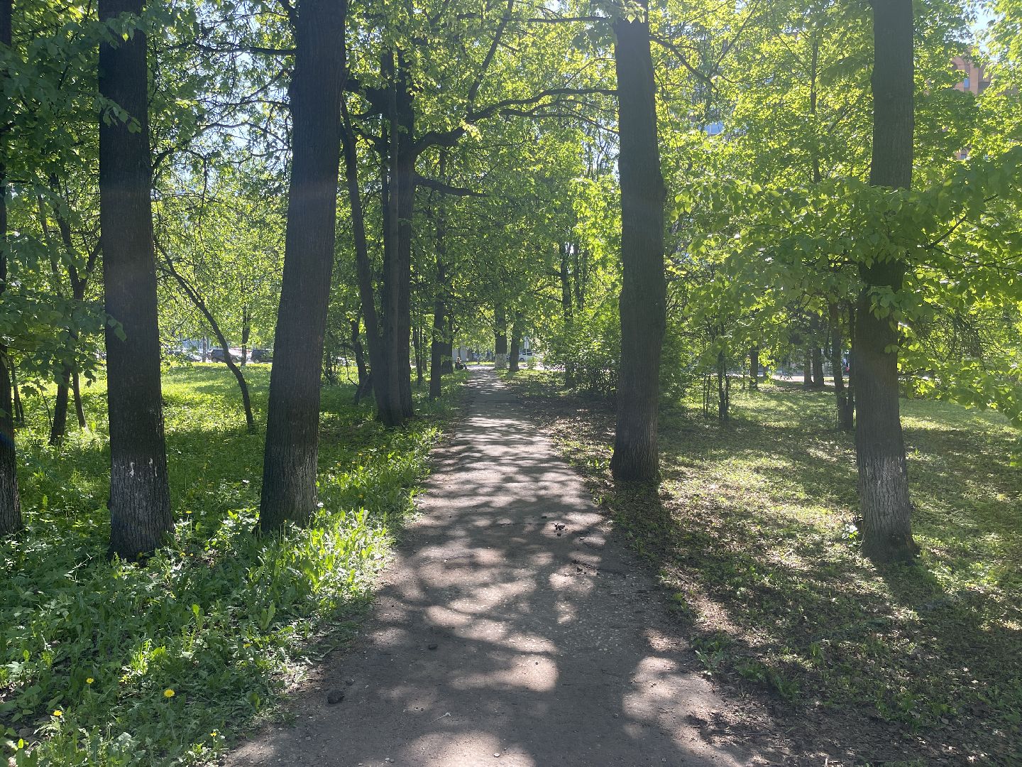 Благоустройство, Одинцово, строительство, бульвар,