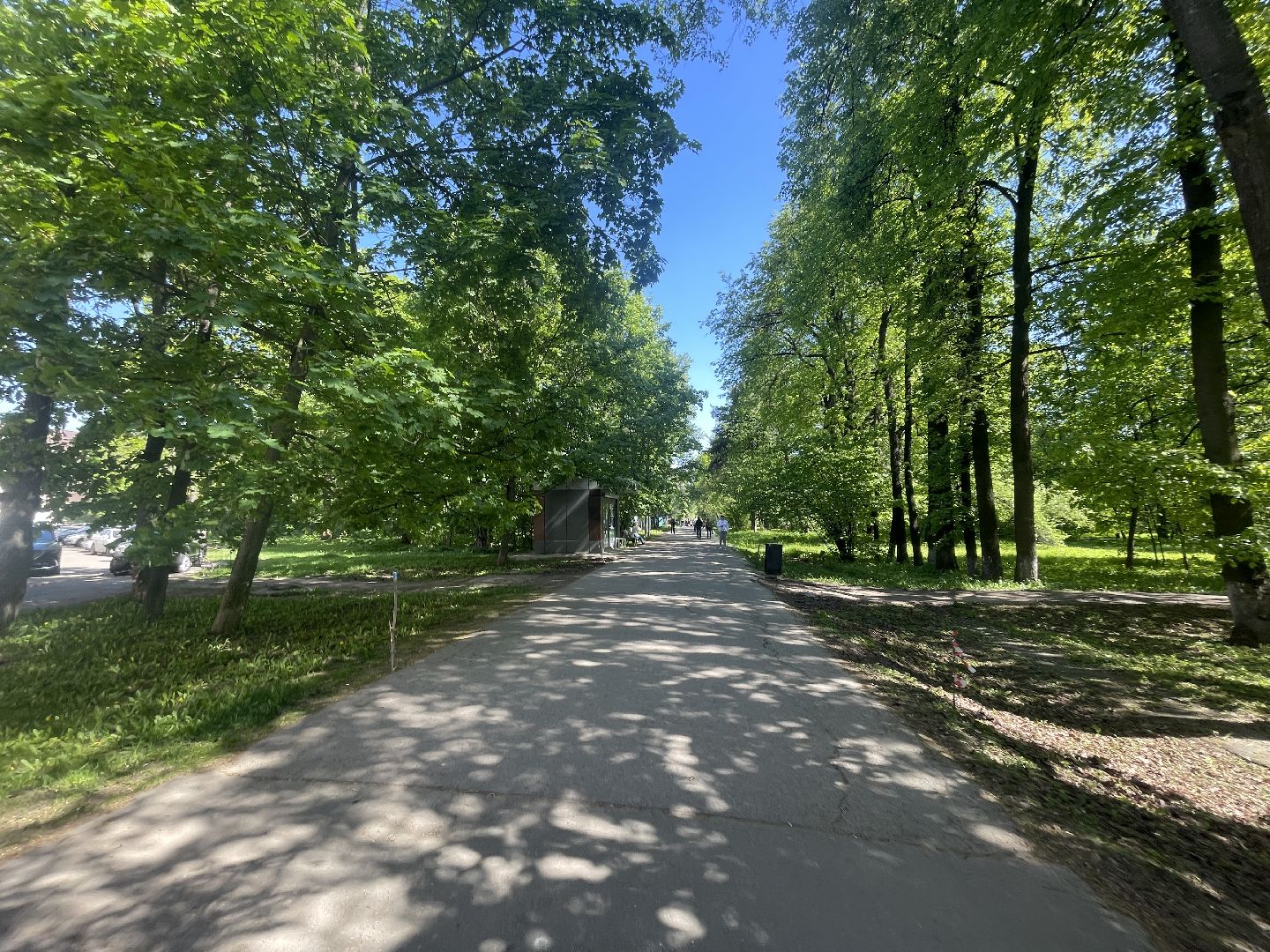 Благоустройство, Одинцово, строительство, бульвар,