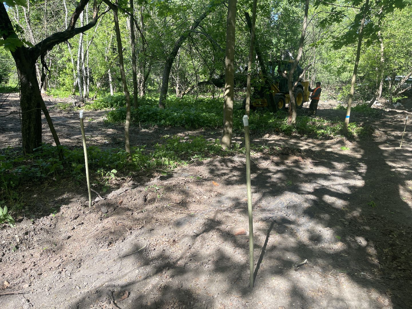 Благоустройство, Одинцово, строительство, бульвар,