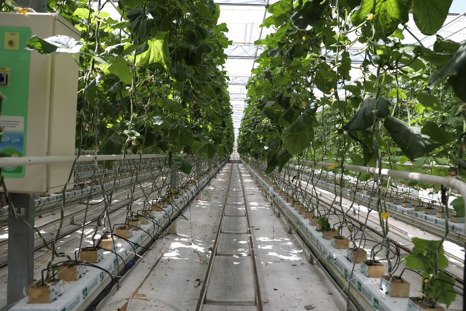 лыткарино, экономика, импортозамещение