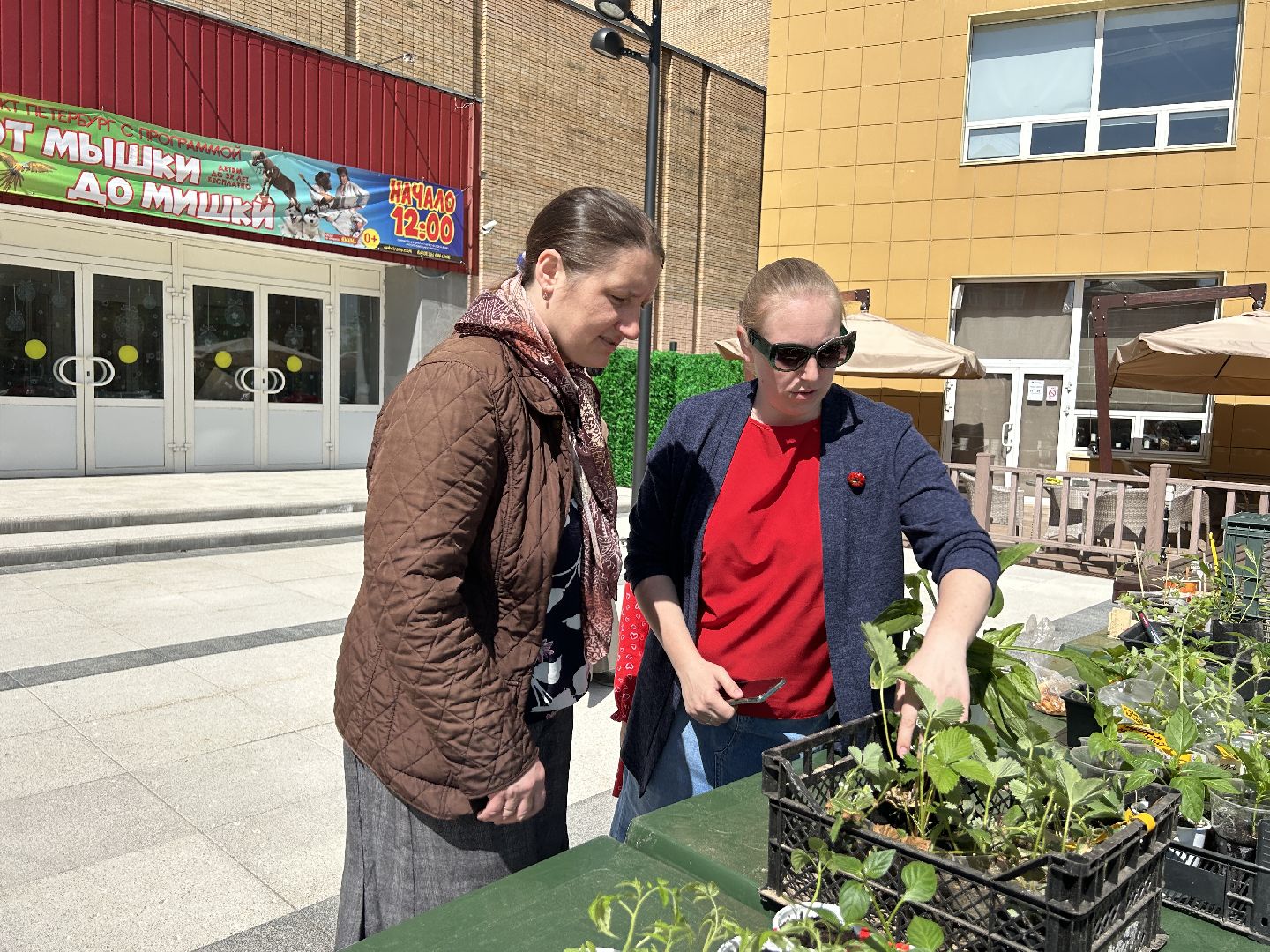 Акция, своп, растения