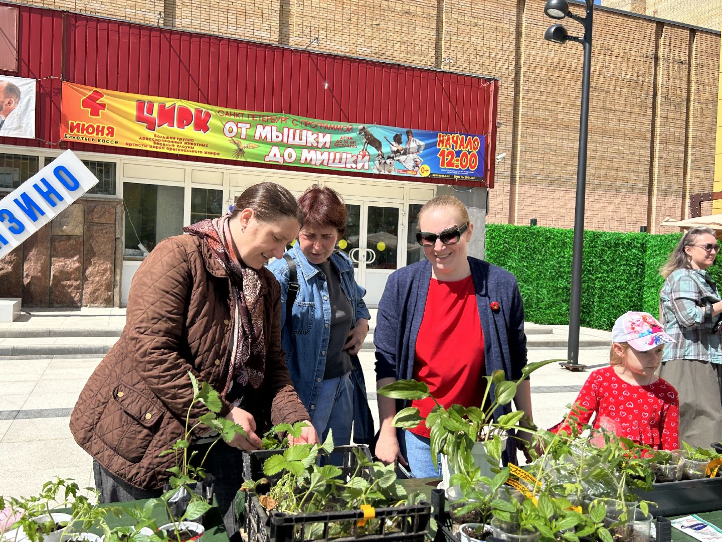 Акция, своп, растения