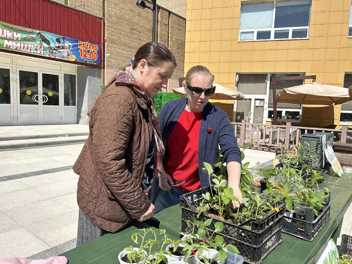 Акция, своп, растения