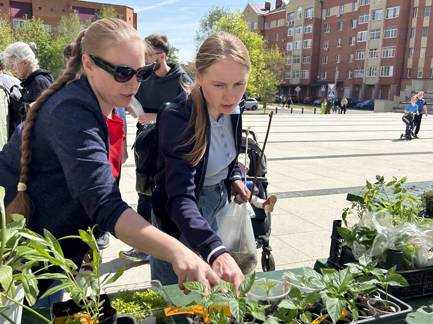 Акция, своп, растения