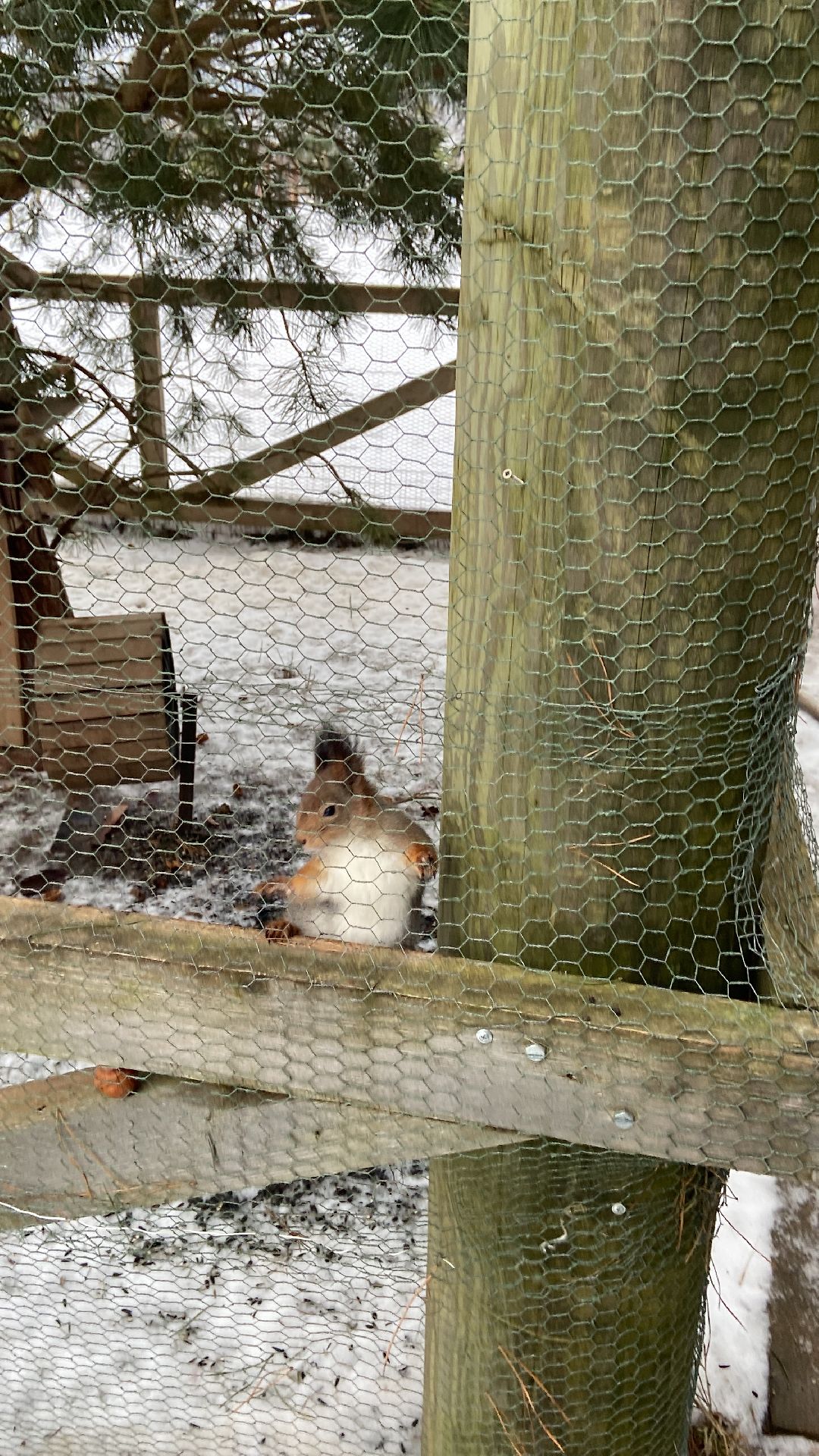 Волоколамск