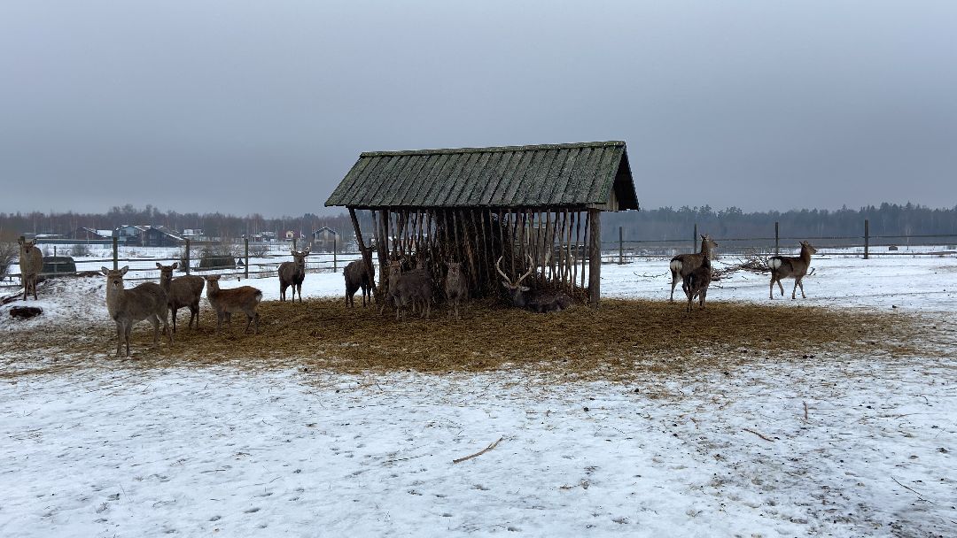Волоколамск
