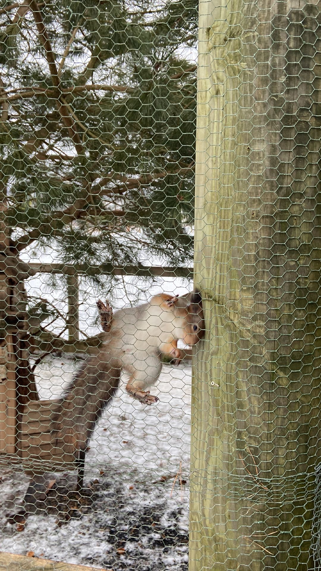 Волоколамск