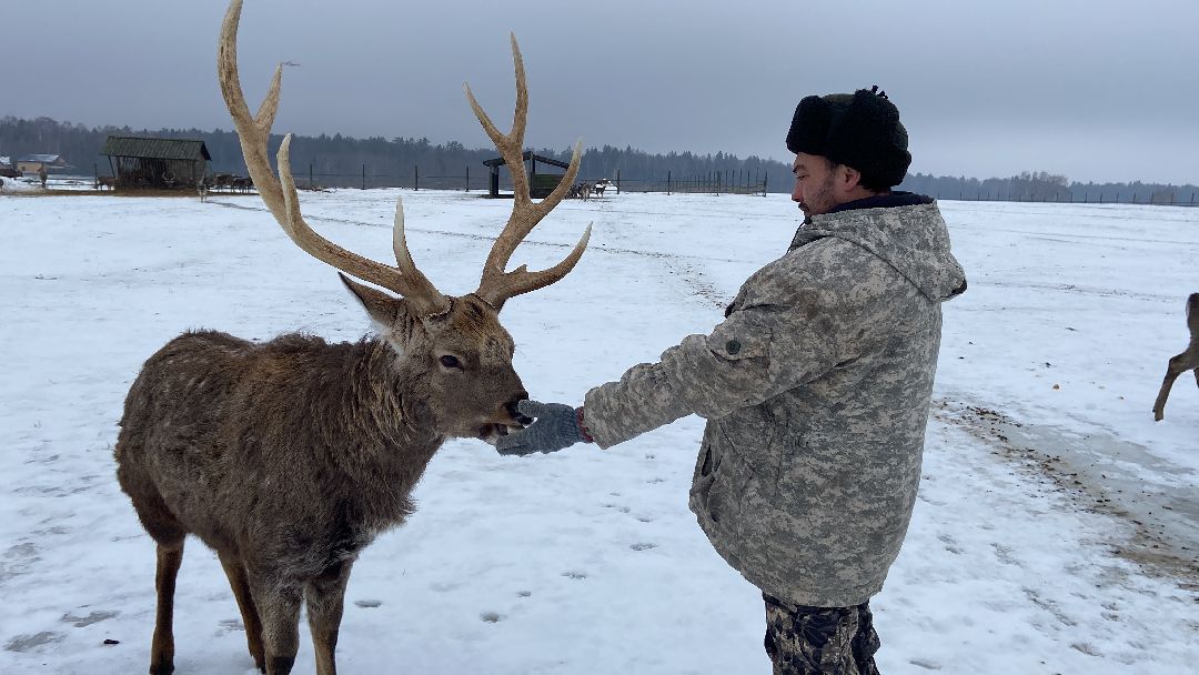 Волоколамск