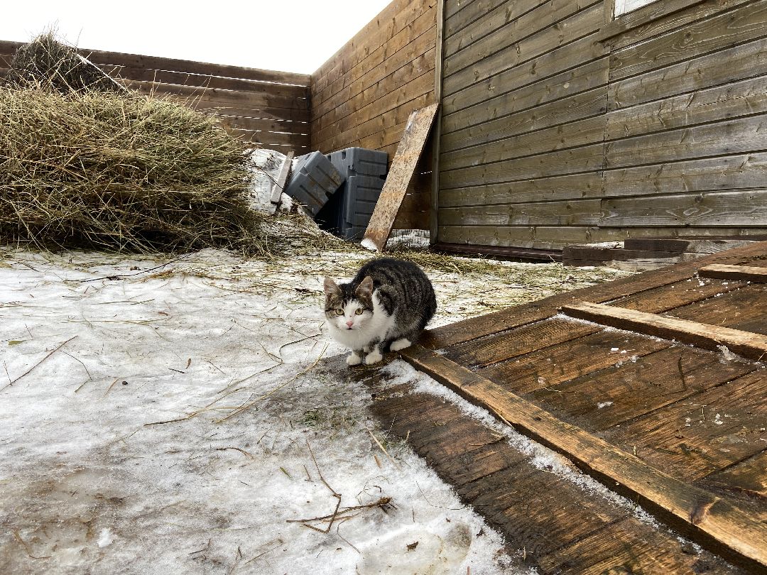 Волоколамск