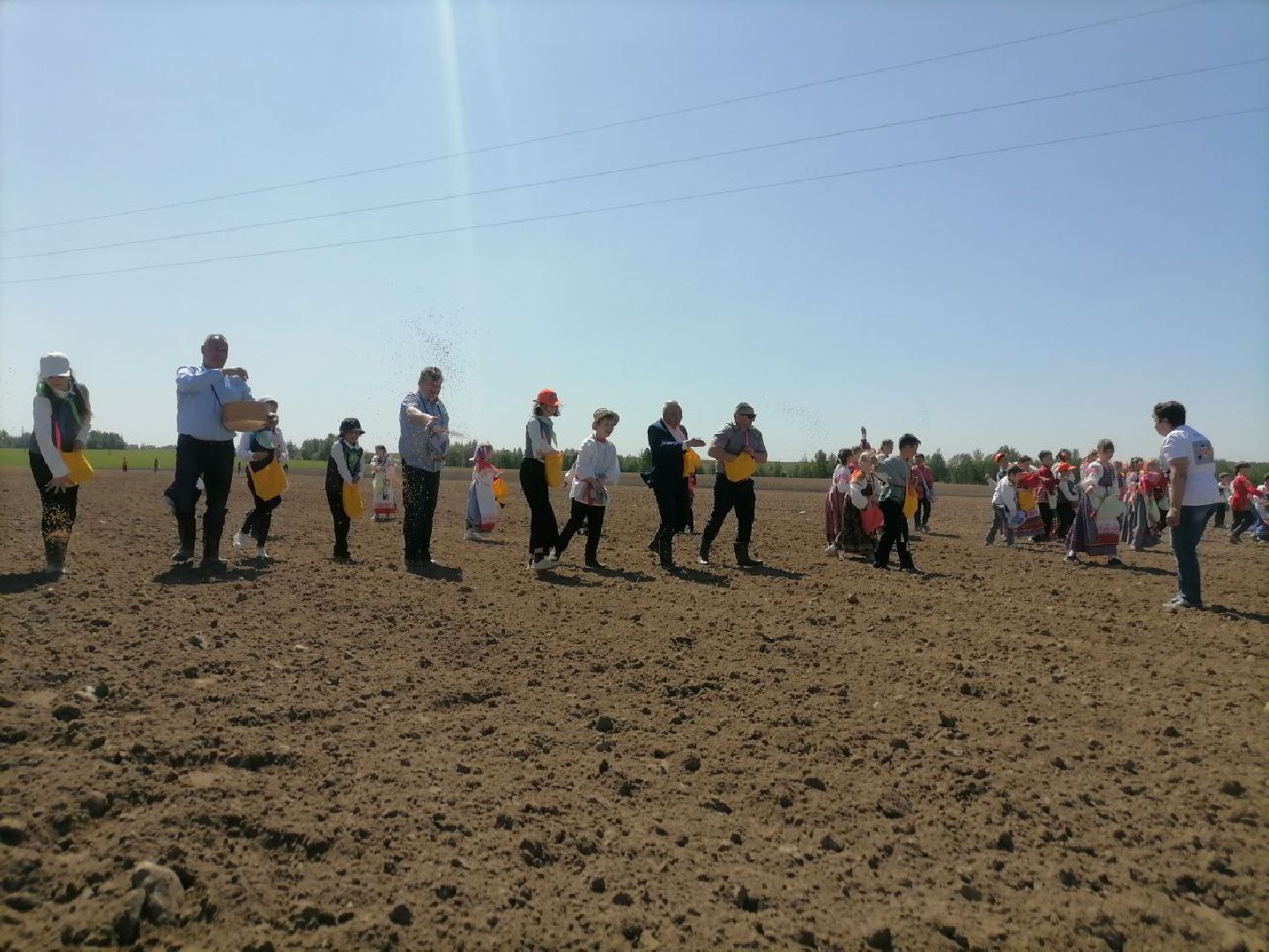 экоакция, талдом, общество, засев журавлиного поля, журавли, фестиваль