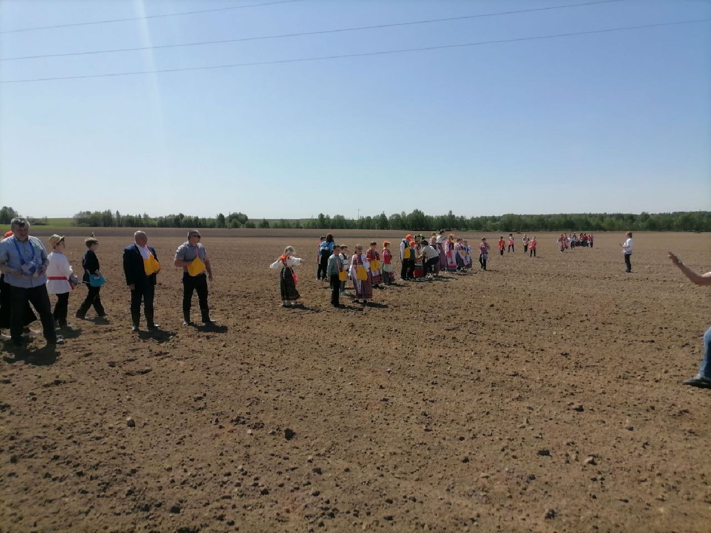 экоакция, талдом, общество, засев журавлиного поля, журавли, фестиваль