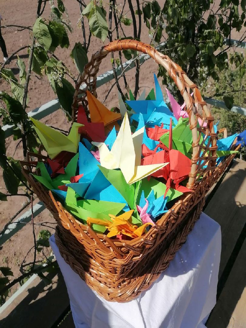 экоакция, талдом, общество, засев журавлиного поля, журавли, фестиваль