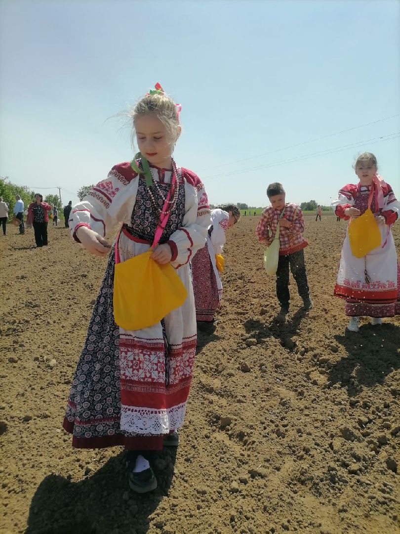 экоакция, талдом, общество, засев журавлиного поля, журавли, фестиваль