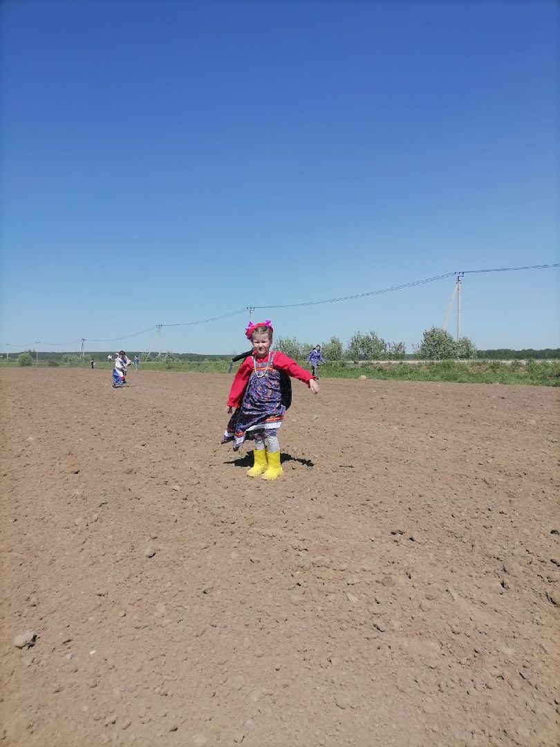 экоакция, талдом, общество, засев журавлиного поля, журавли, фестиваль