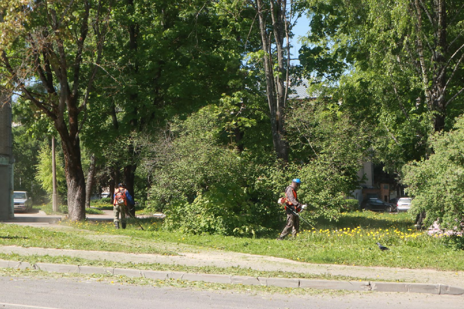 Пущино, благоустройство