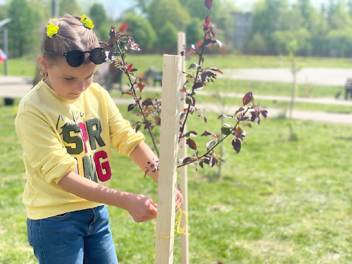 Сергиев Посад, Сергиево-Посадский городской округ, Субботник, Экология, Благоустройство, Уборка, Порядок, Жители, Общество