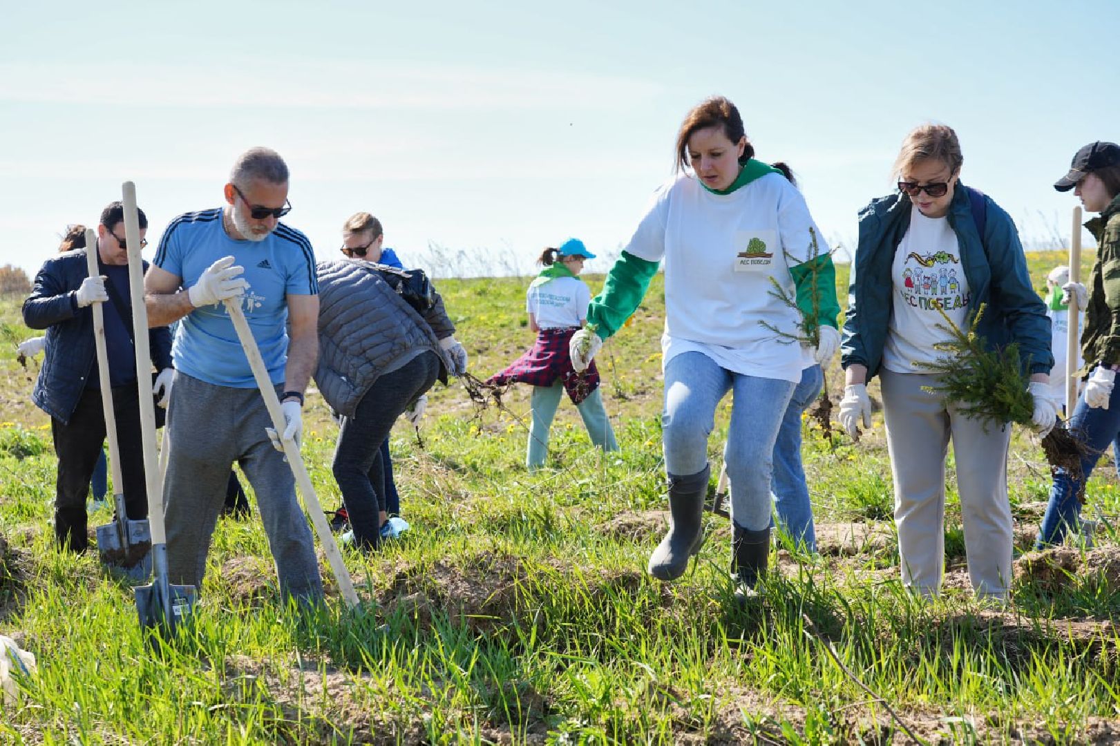 Сергиев Посад, Сергиево-Посадский городской округ, Экология, Лес Победы, Озеленение, ЭкоАкция