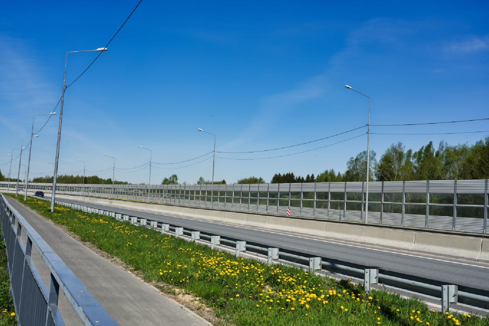 Сергиев Посад, Сергиево-Посадский городской округ, Экология, Лес Победы, Озеленение, ЭкоАкция