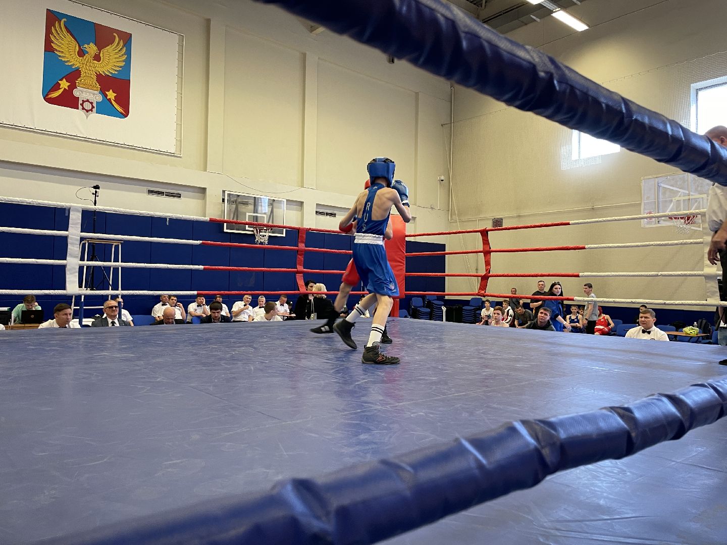 Спорт, бокс, Люберцы