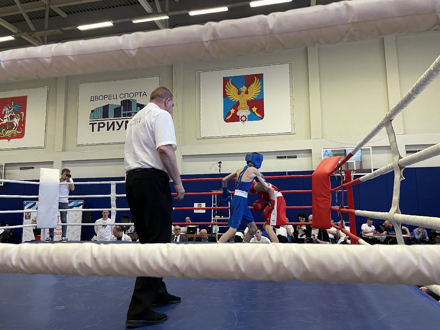 Спорт, бокс, Люберцы