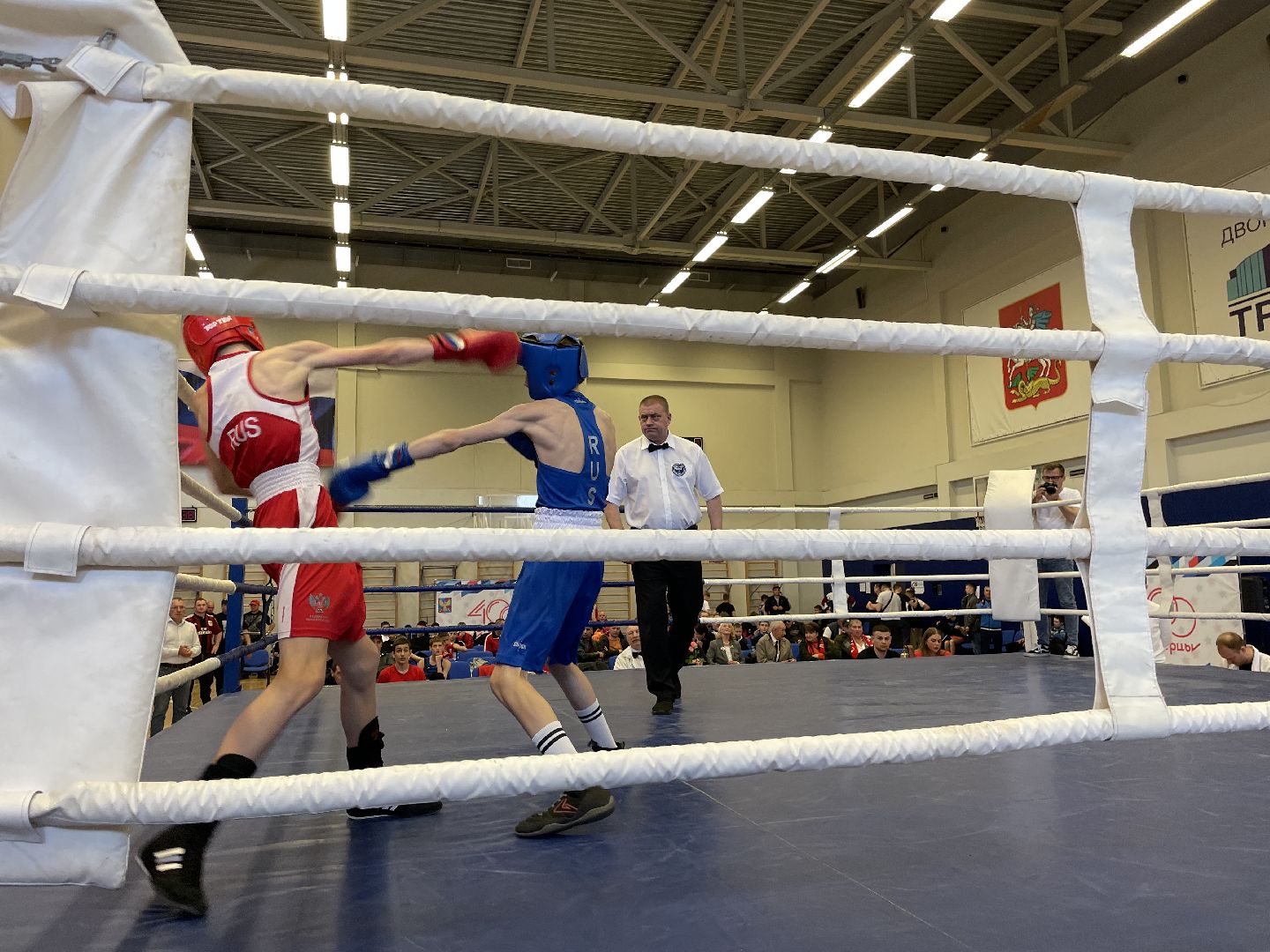 Спорт, бокс, Люберцы
