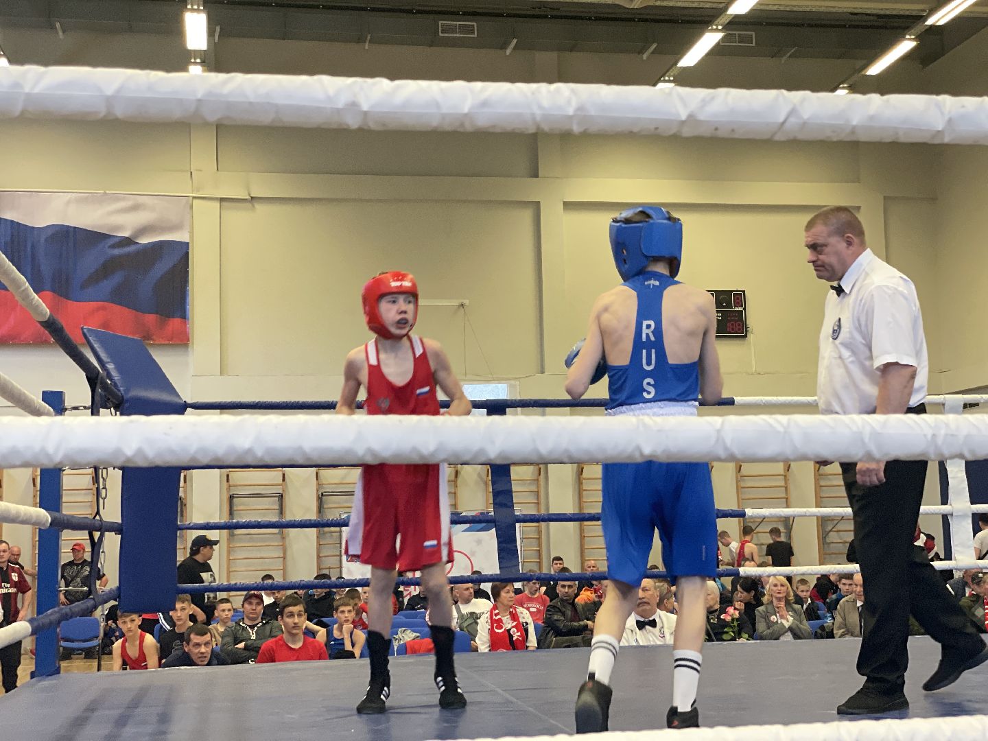 Спорт, бокс, Люберцы