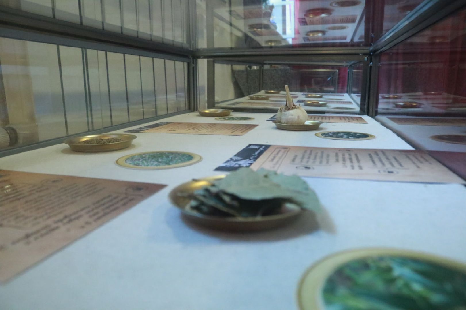 Пущино, культура, выставки