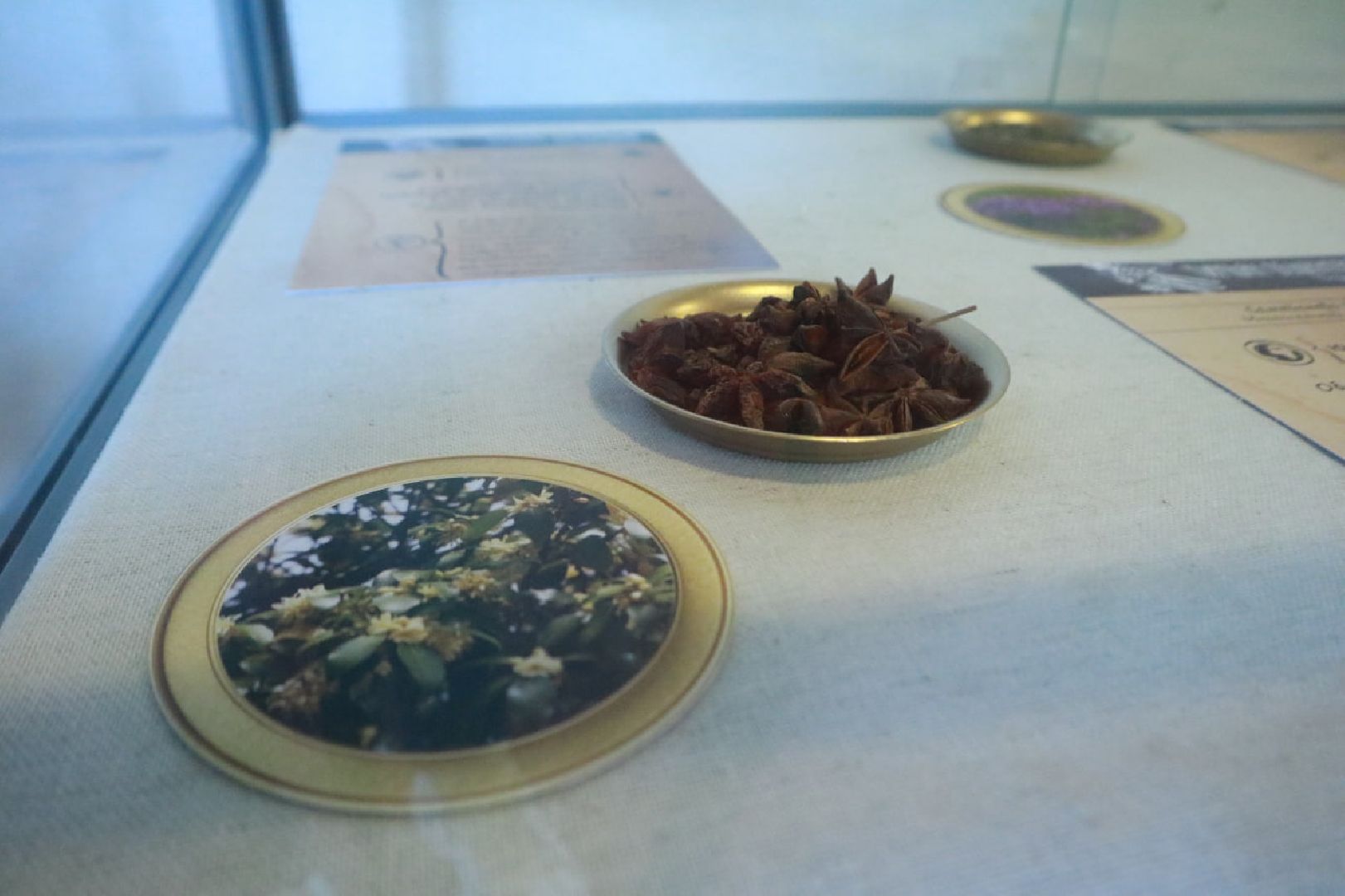 Пущино, культура, выставки