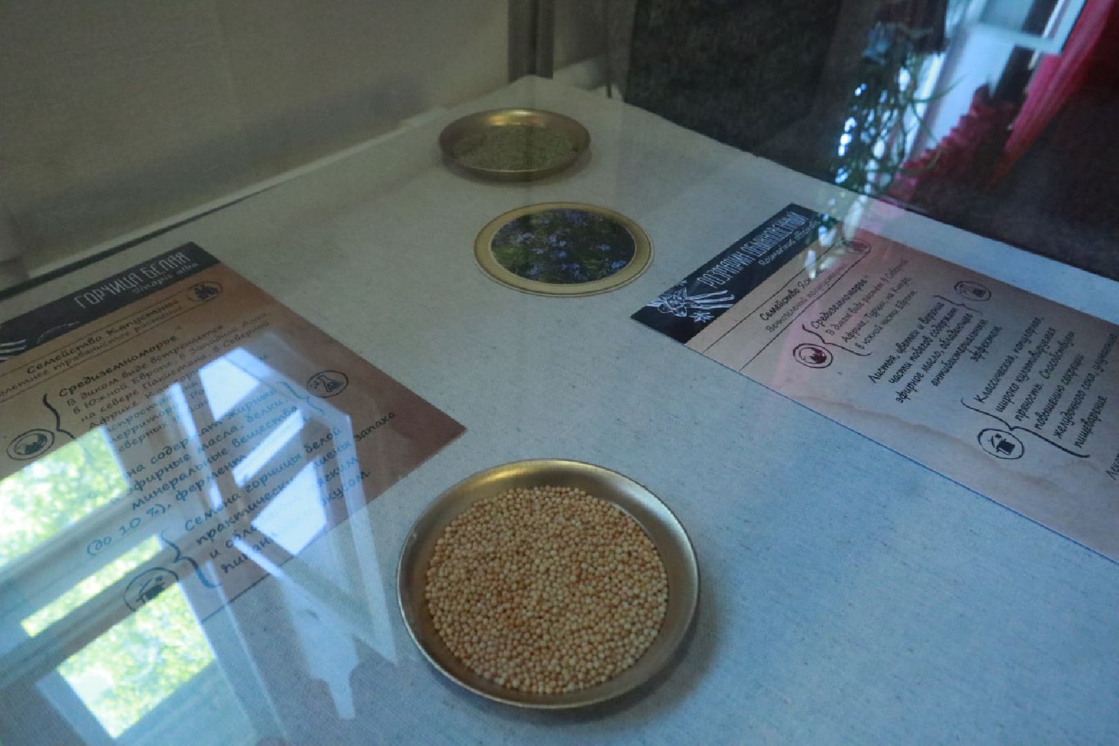 Пущино, культура, выставки