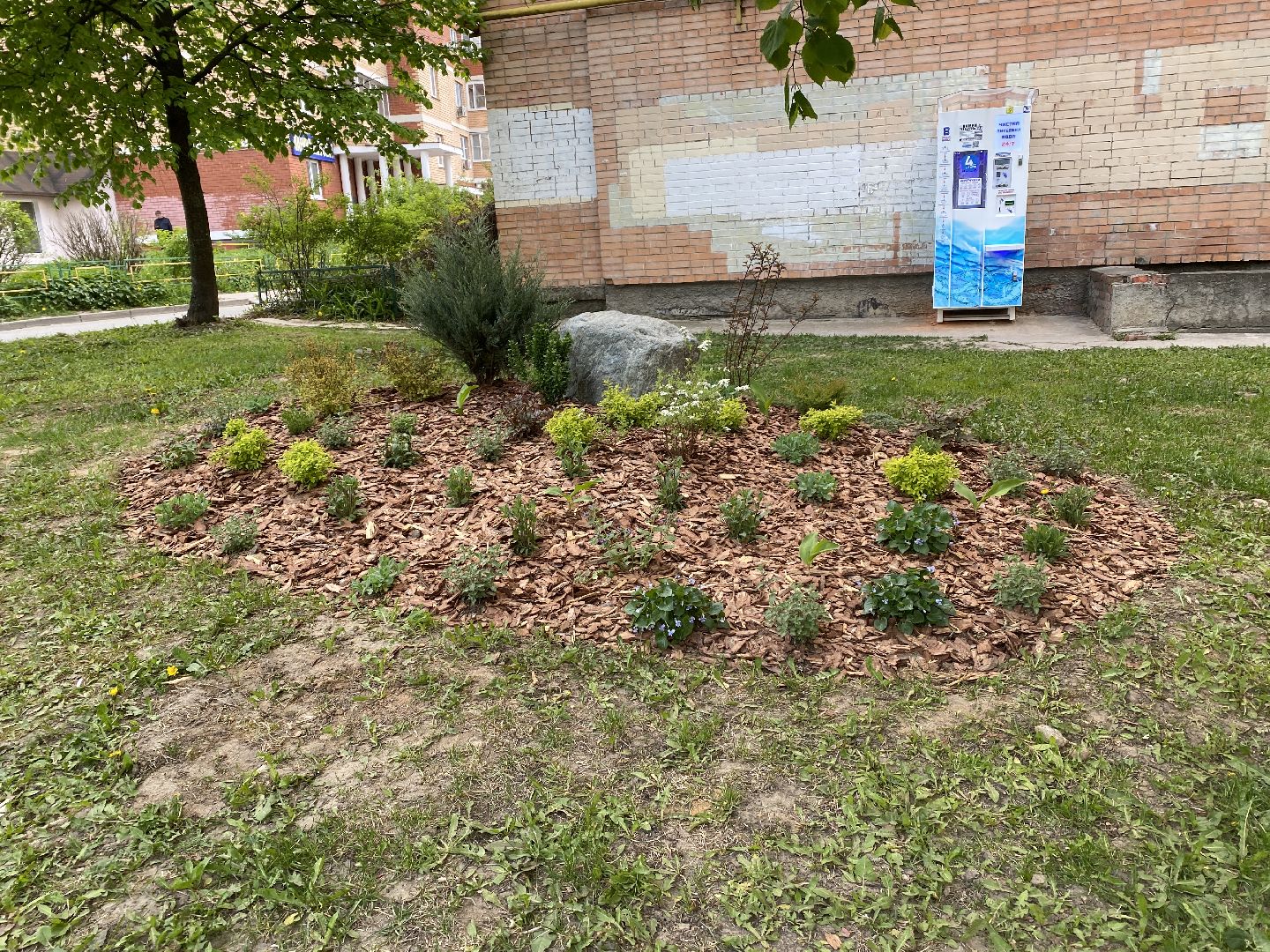 Чехов, благоустройство, клумбы, дизайн, житель