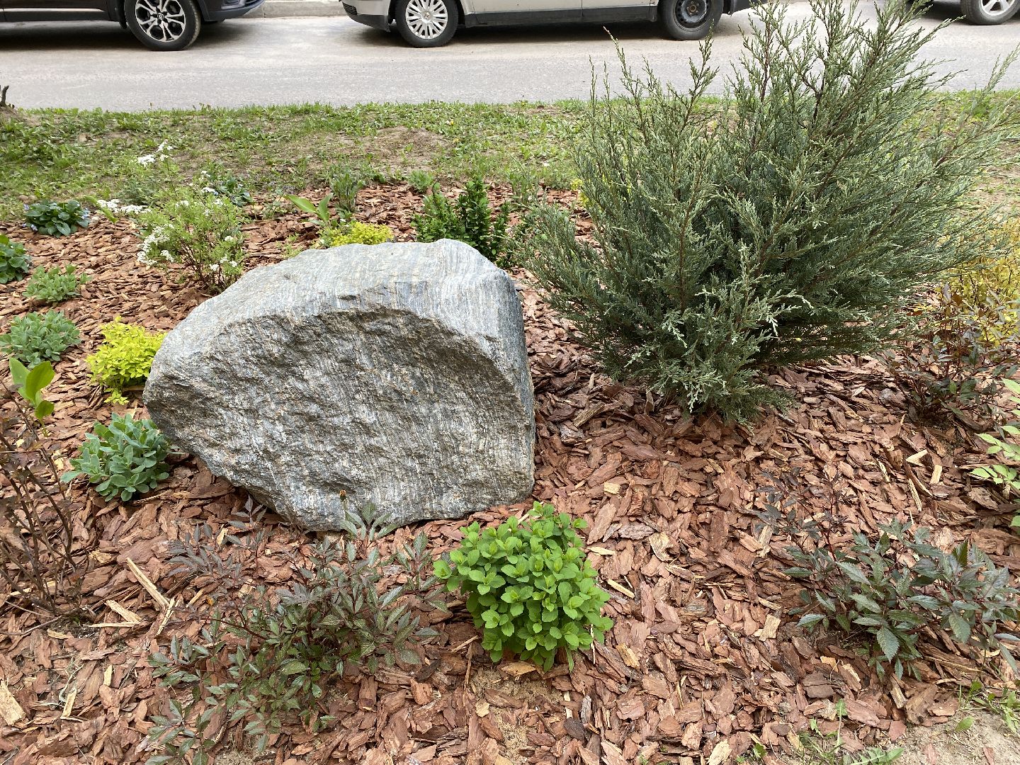 Чехов, благоустройство, клумбы, дизайн, житель