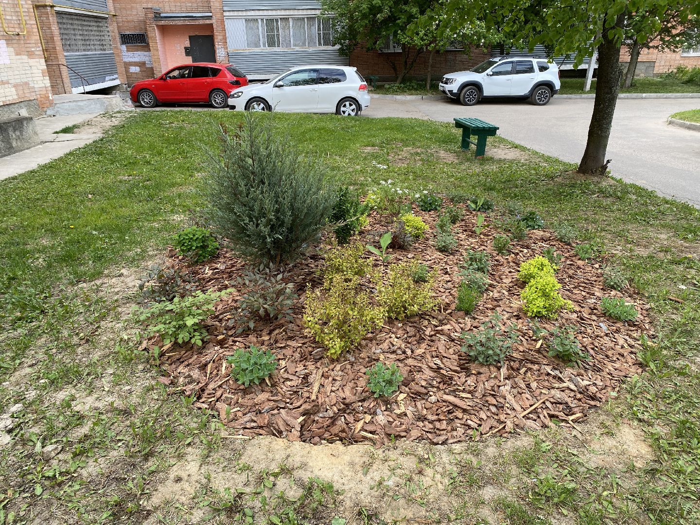 Чехов, благоустройство, клумбы, дизайн, житель