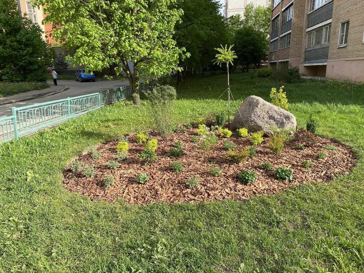 Чехов, благоустройство, клумбы, дизайн, житель