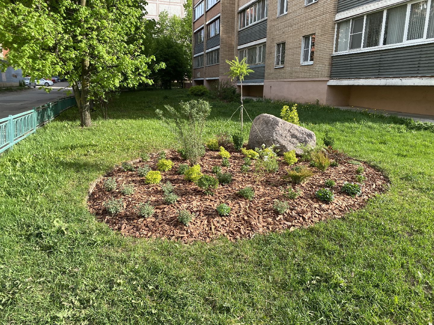 Чехов, благоустройство, клумбы, дизайн, житель