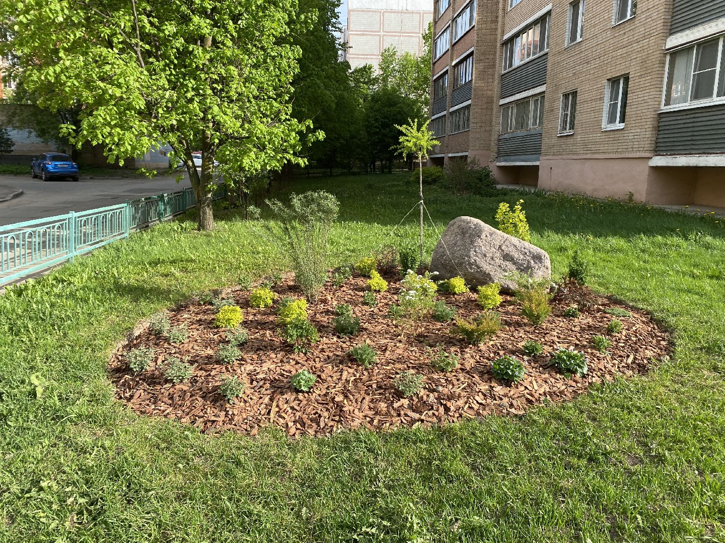 Чехов, благоустройство, клумбы, дизайн, житель