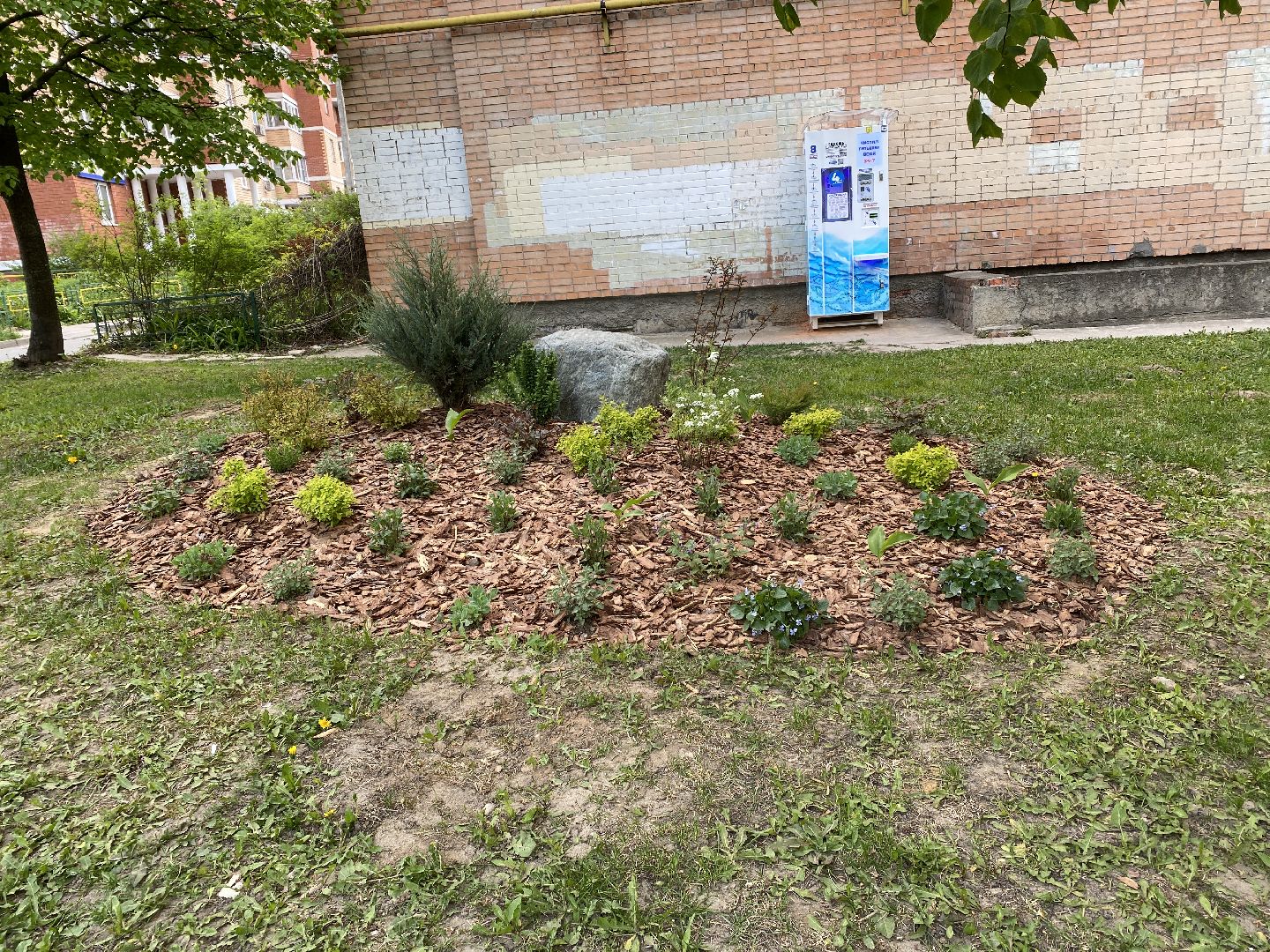 Чехов, благоустройство, клумбы, дизайн, житель