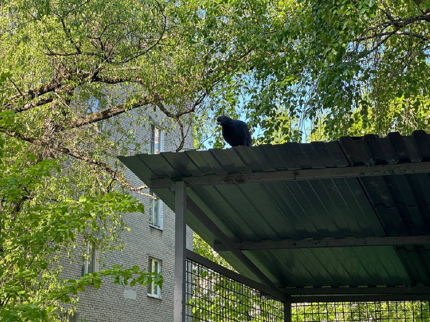 Реутов, экология, безопасность, мусор, контейнеры, площадки для мусора