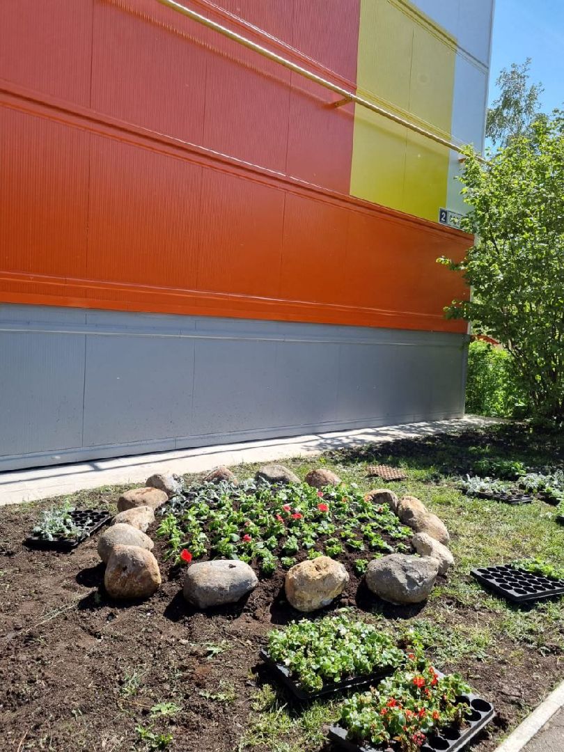 Город, Власиха, ГУСТ, озеленение, ландшафтный дизайн