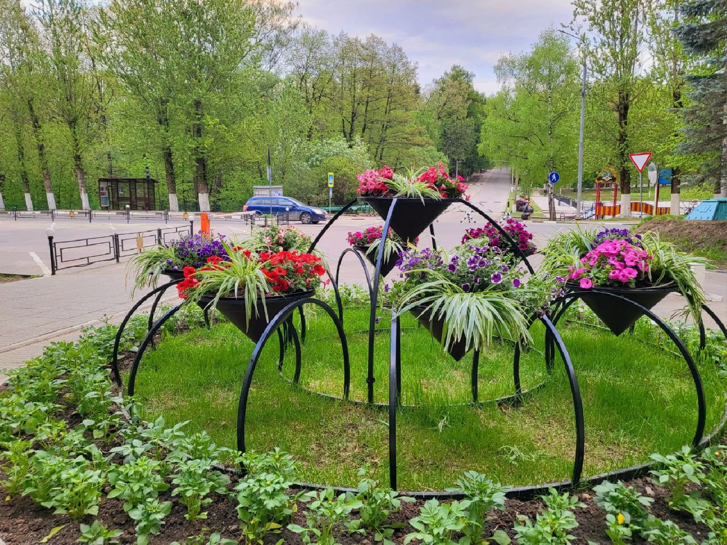 Город, Власиха, ГУСТ, озеленение, ландшафтный дизайн