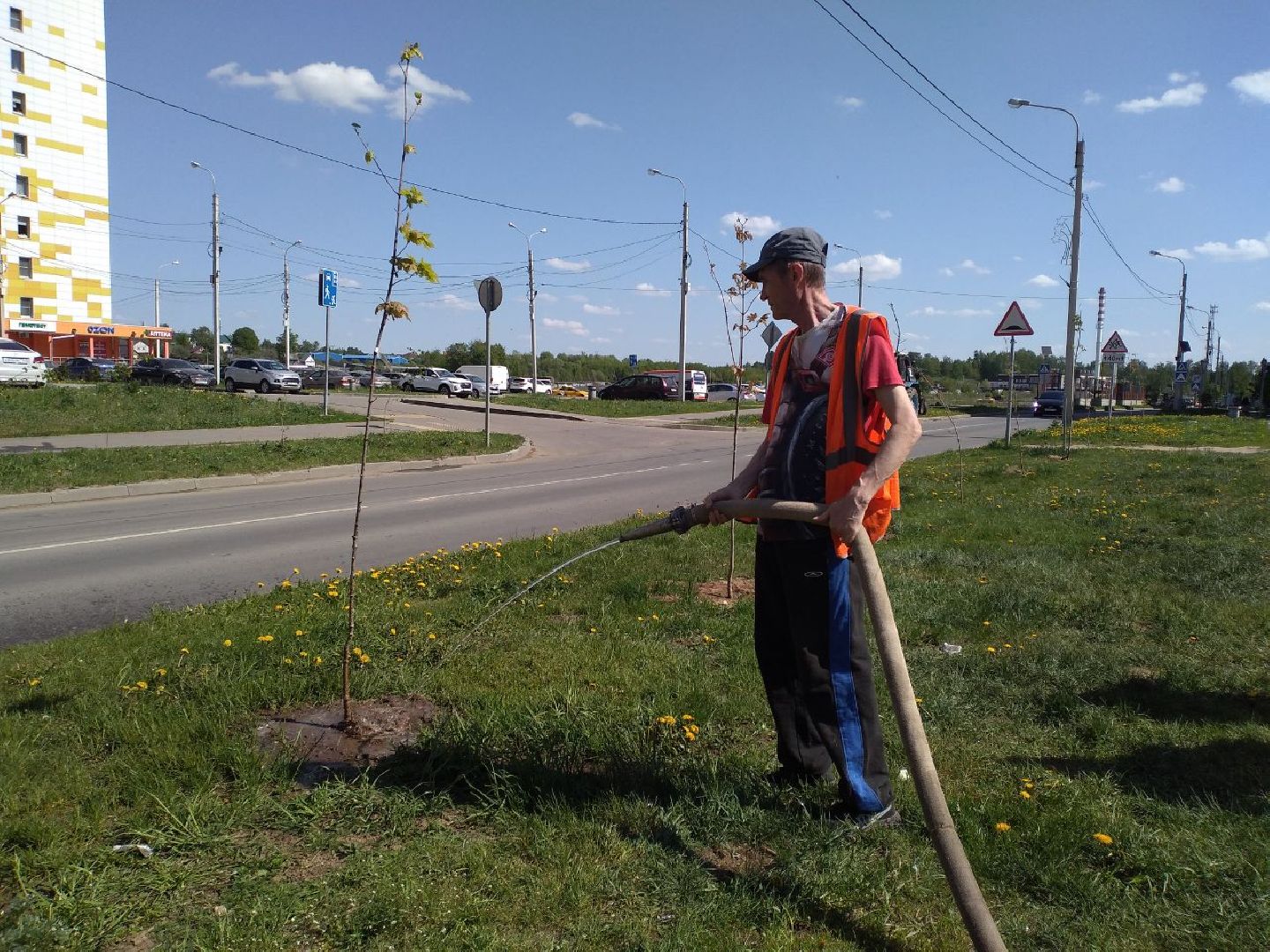благоустройство, экология, Лосино-Петровский