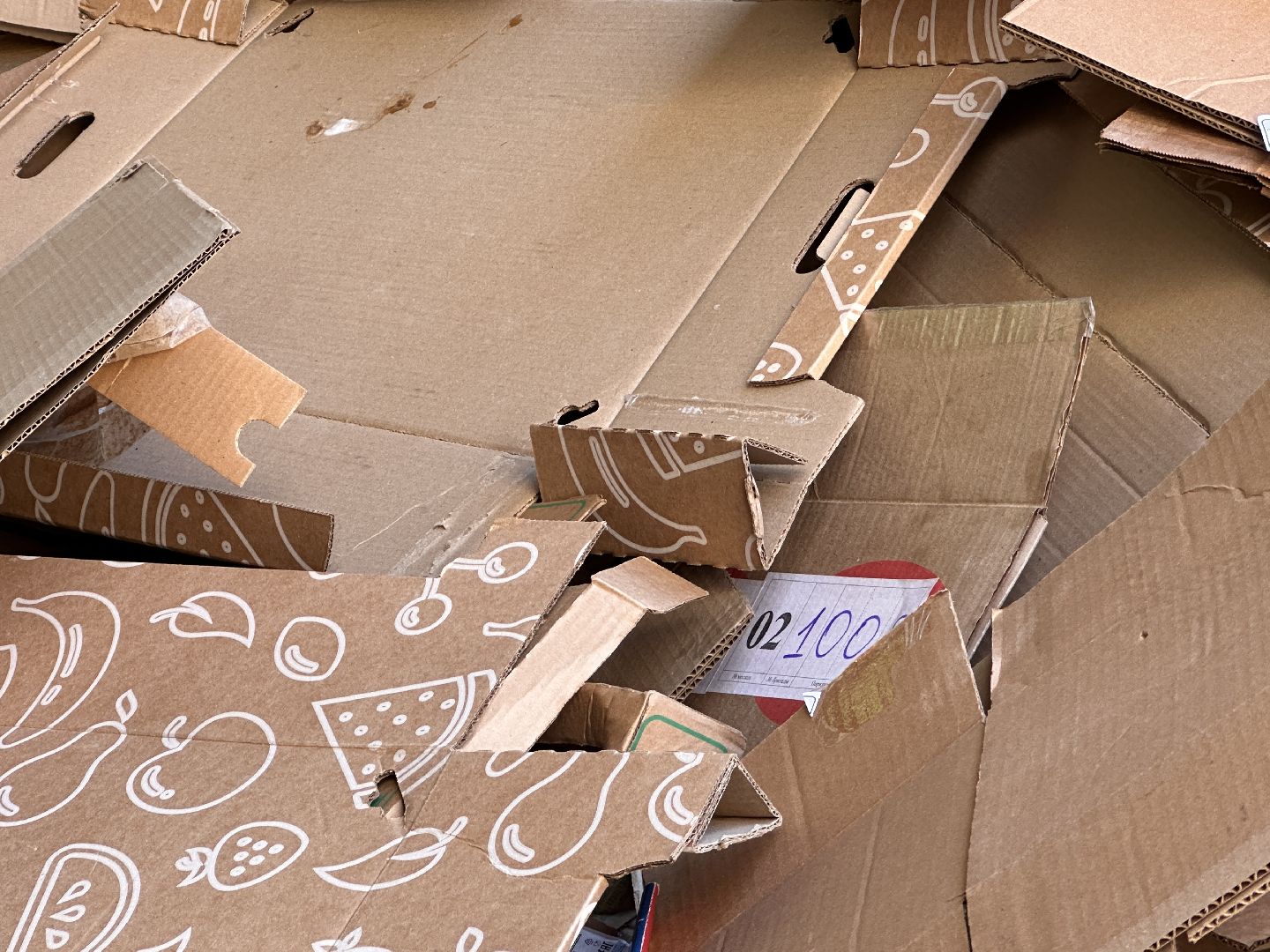 Одинцово, Всероссийский эко-марафон, макулатура, спаси дерево