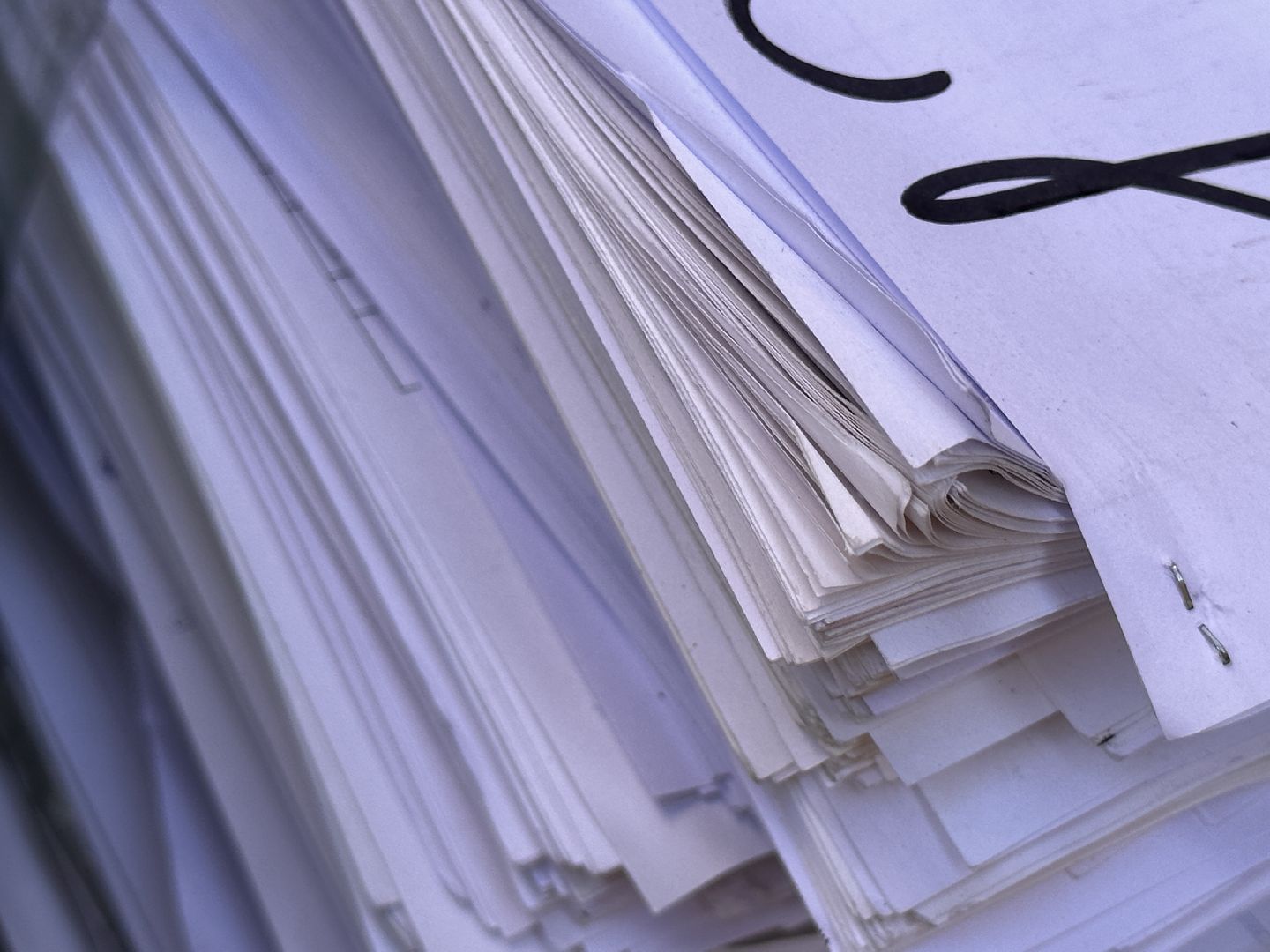 Одинцово, Всероссийский эко-марафон, макулатура, спаси дерево