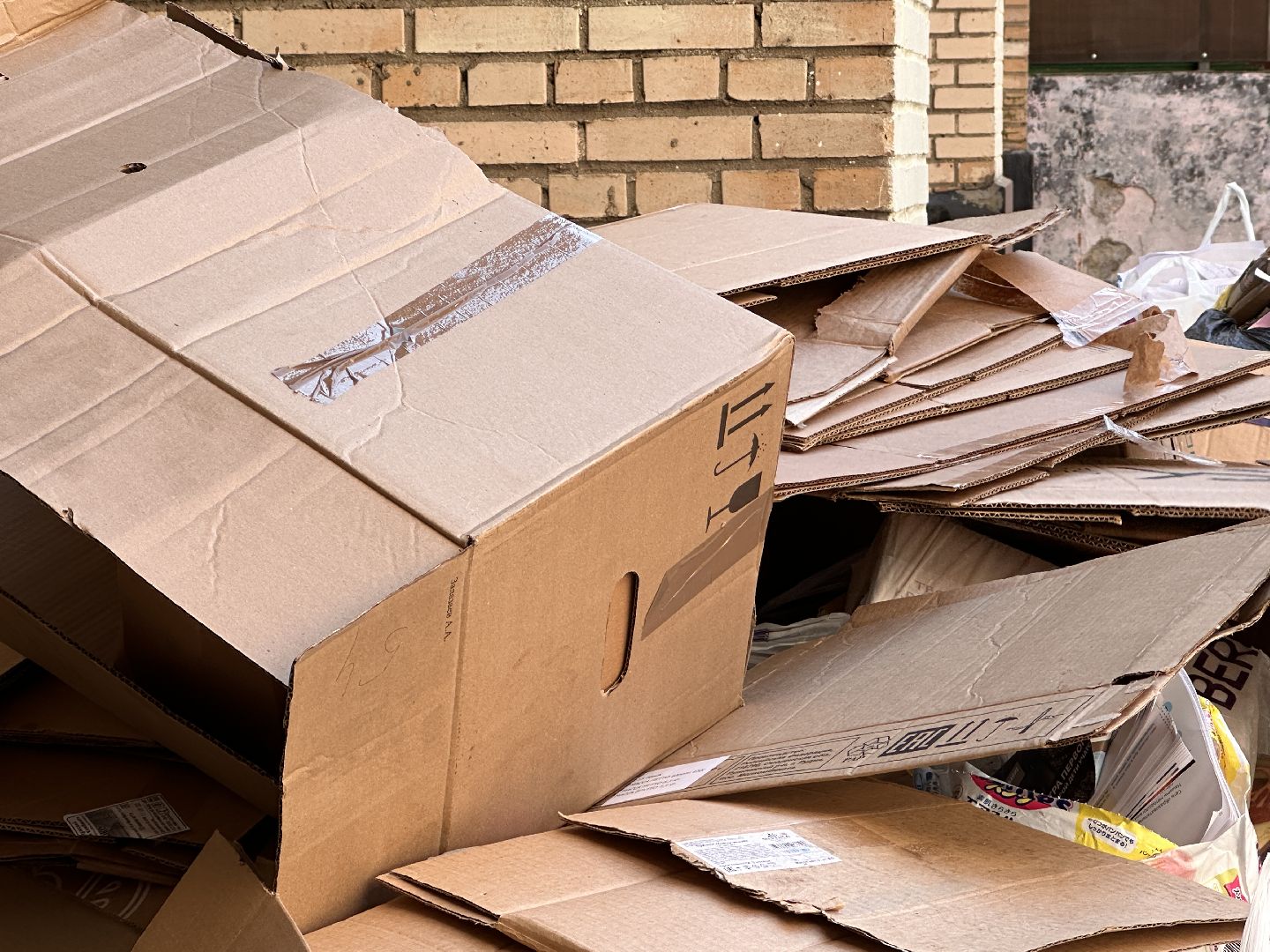 Одинцово, Всероссийский эко-марафон, макулатура, спаси дерево