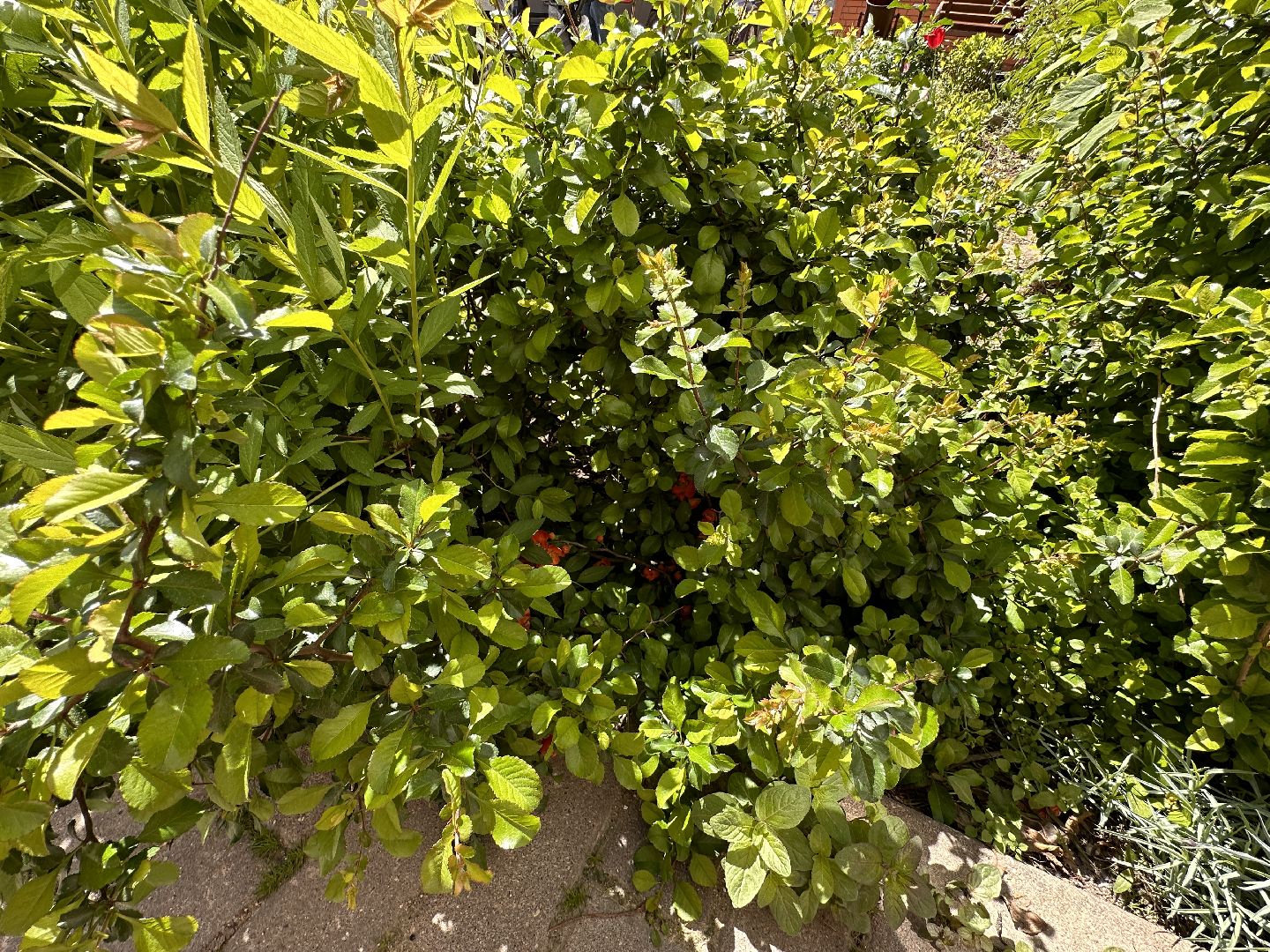 Одинцово, Экология, Общество, Благоустройство