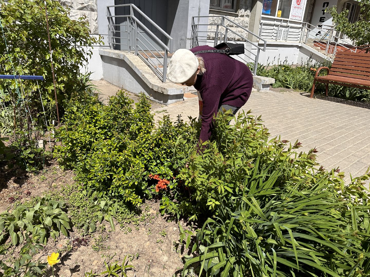 Одинцово, Экология, Общество, Благоустройство