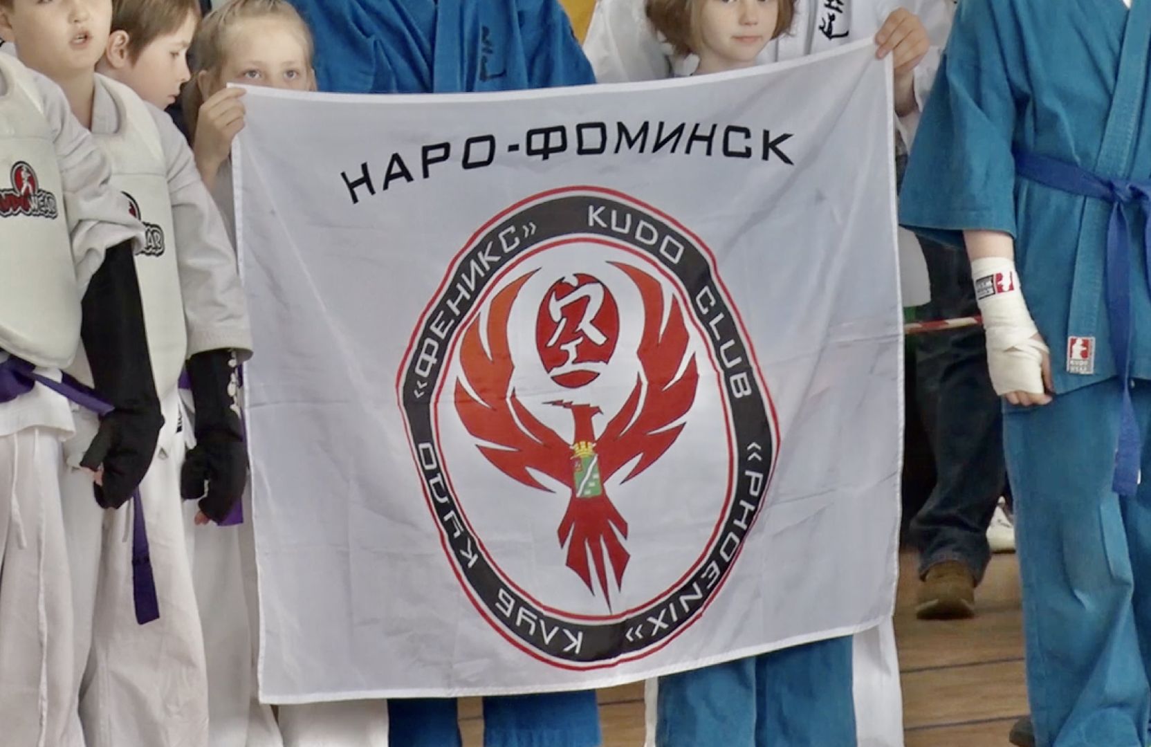 Клин, спорт, соревнования, кудо, общество