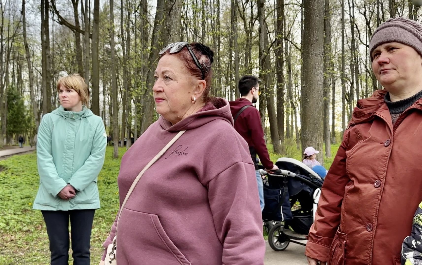 Клин, парки, лебеди, люди