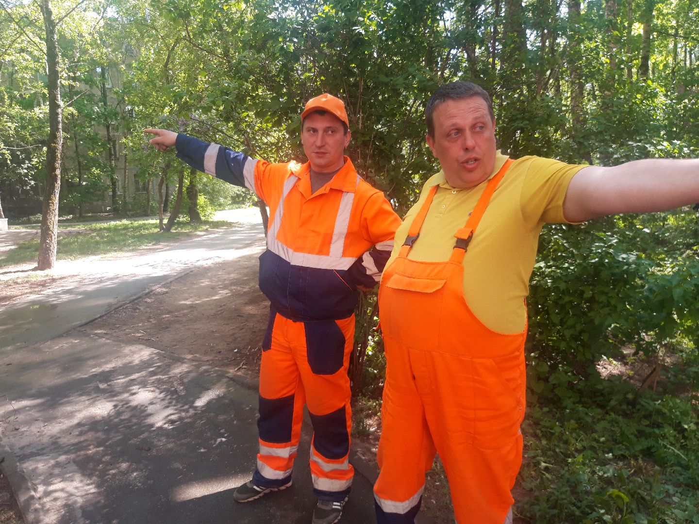 двор, доброе дело,